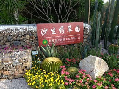 7月25日,為期一個月的廈門園博苑中草藥植物科普展即將落下帷幕