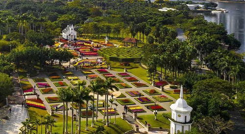 廈門集美 滿 苑 春色關不住 七彩花卉 踏春 來