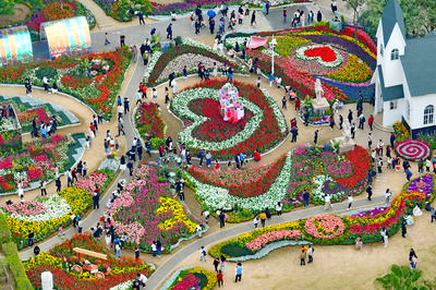 廈門園博苑郁金香花展游人如織,熱鬧非凡。林麗華攝