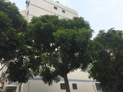 玉鷺苑優(yōu)點 不足,玉鷺苑怎么樣,玉鷺苑周邊房產(chǎn)中介經(jīng)紀人評價