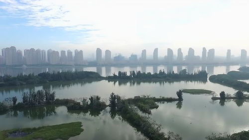 遠方,歸來 候鳥