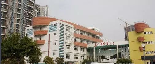 重磅!剛公示!廈門這35所學校被國家點名表揚!看看有你的母校嗎?