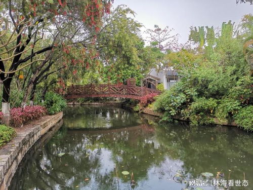 7.廈門園博苑 遭遇風雨 游 被泡湯