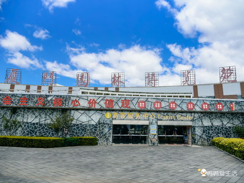 只有10天 錯過又要等一年,廈門園博苑春節(jié)郁金香花展美不勝收