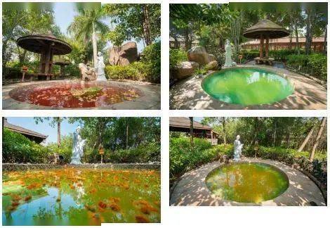 炸翻全城 69.9元溫泉特惠 廈門園博苑溫泉島 天沐溫泉度假村 太極八卦浴 碧海美人區(qū) 福海名