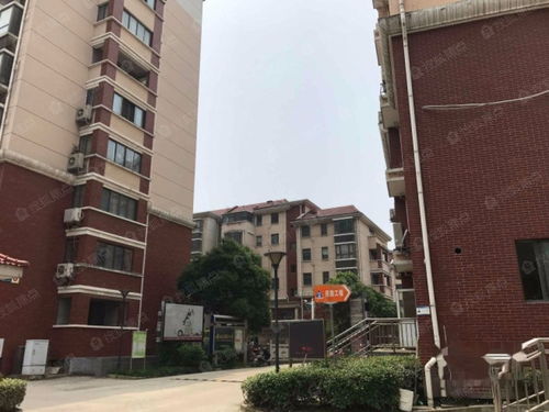 江濱雅園圖片 樣板間 裝修效果圖