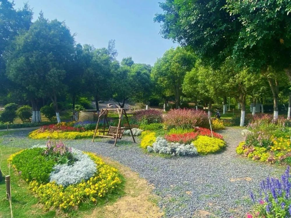 周末走起!廈門這些花海怒放中!一起邂逅“紫色浪漫”