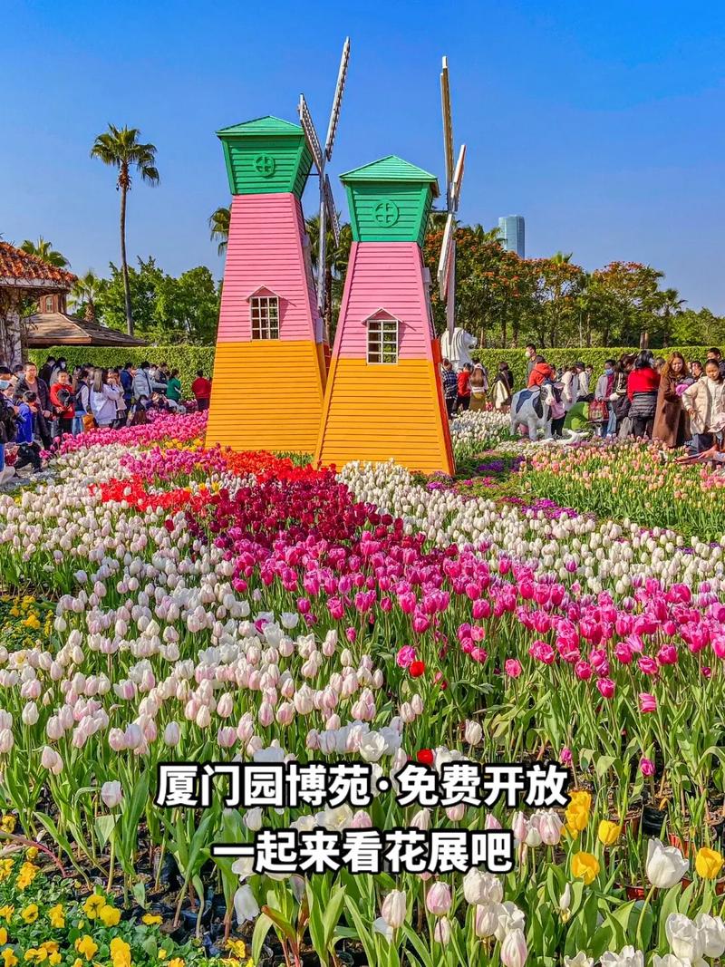廈門園博苑免費開放一起來看花展吧