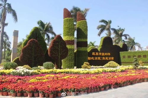 福建最新賞菊攻略在此