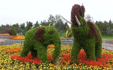 廈門市園博苑旅游攻略 廈門國際園林博覽苑地址