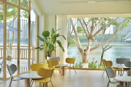 廈門園博苑那么大,怎么玩才不累 機(jī)會來了