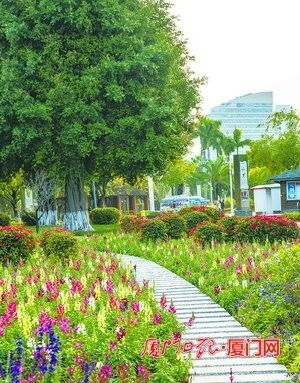 花 式過春節(jié) 廈門園博苑推出賞心悅目的新春大餐