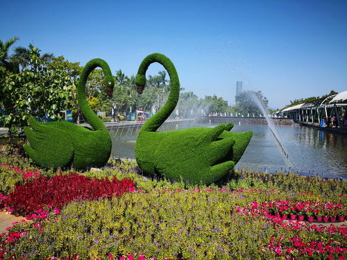 國(guó)慶假期,到園博苑來(lái)尋找秋日之美