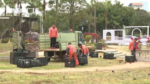 廈門園博苑郁金香花展撤展,這些花能帶走嗎,園方發(fā)話了