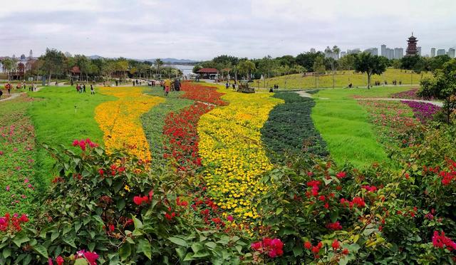 踏春賞花最佳處,廈門園博苑 幾百個(gè)品種、幾十萬(wàn)株鮮花正盛開(kāi)