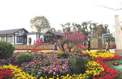 2017年元宵節(jié)和家人廈門園博苑賞花半日游隨手拍