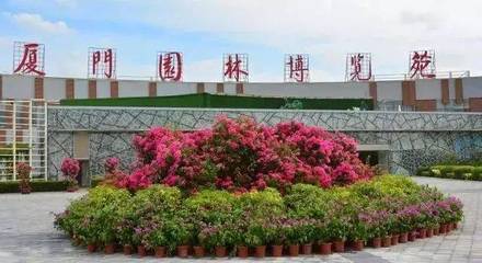 白鷺洲噴泉燈光秀連播4天,一大波花海上線,還有…