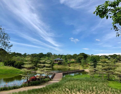 六一帶娃去哪兒 廈門這些地方別錯(cuò)過