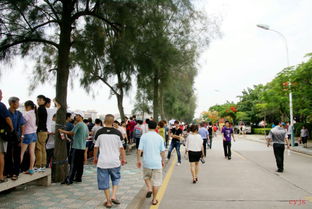 廈門印象 集美 廈門游記攻略