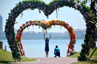 國慶假期不去人擠人,廈門園博苑的無邊花海和稻草人,大人孩子都開心