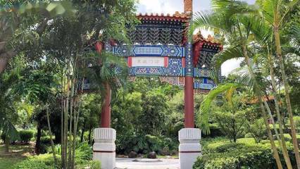 九九重陽節,帶上爸媽來園博苑游花海、“森”呼吸.60歲以上免門票!