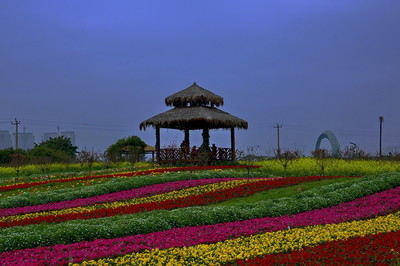 廈門園博苑 - 廈門園博苑 - million xu