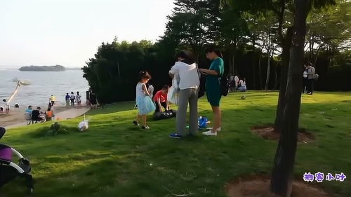 廈門園博苑里面也有這么好看的海灘,走累了,坐一會,看看海景