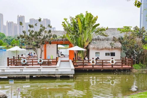 plus黃金周,近12.6萬人打卡了廈門園博苑 有你嗎