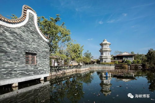 正值冬季,廈門這個極美地方迎來 春天