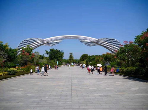 國有a級(jí)景區(qū)門票五折,公共交通免費(fèi),留 廈 過年出島這樣玩