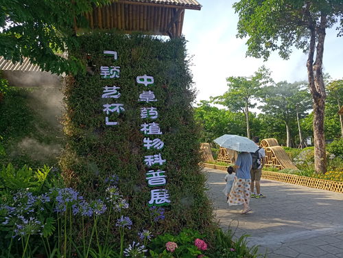 6月25日至7月25日,廈門版 百草園 ,園博苑中草藥植物展將結(jié)束