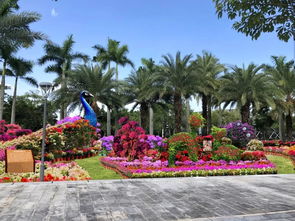 游集美,慶國慶 7萬盆三角梅將在園博苑 比美 最新劇透來了