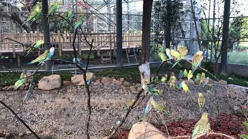 遛娃新去處 廈門園博苑生態(tài)館全新亮相 萌力加倍,趣味十足