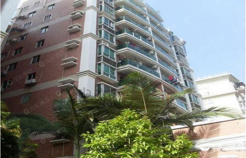 禾祥苑二期 經典大第圖片 樣板間 裝修效果圖