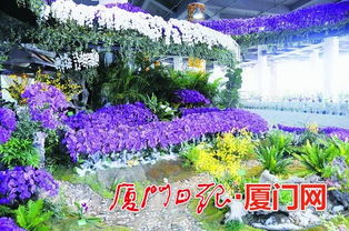 9月26日 10月11日 到廈門園博苑博餅賞花看表演