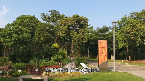 打卡廈門園博苑,恍若走進(jìn)世外桃源,比很多城市的景區(qū)都漂亮