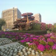 廈門廈門園林博覽苑攻略,廈門廈門園林博覽苑門票/游玩攻略/地址/圖片/門票價(jià)格【攜程攻略】