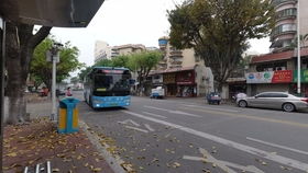 廈門公交908路：從前場社區(qū)站到園博苑公交場站的便捷之旅