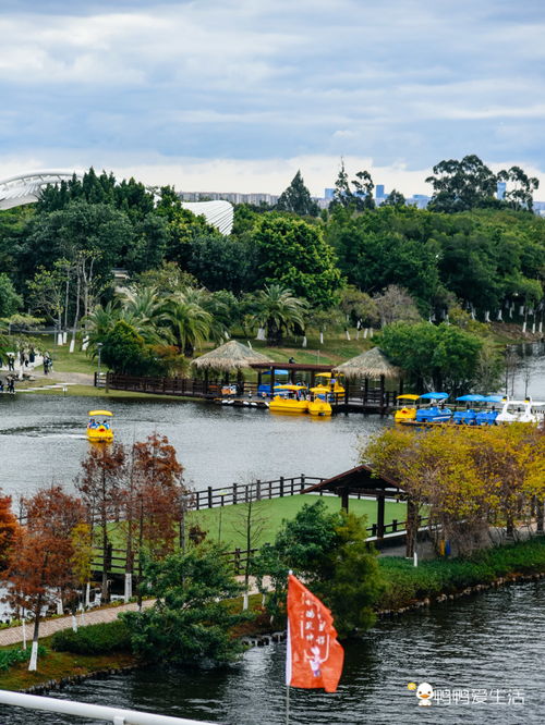 廈門園博苑春節郁金香花展 只有10天，錯過又要等一年