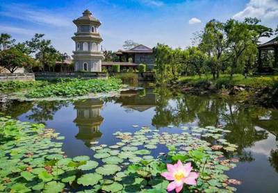 免費門票 | 廈門園博苑荷花花開正盛，賞花正當時！