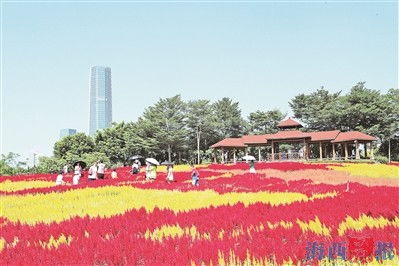 廈門園博苑重新開放，市民暢游春景迎新生機