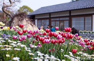風(fēng)鈴搖曳的夢幻世界——廈門園博苑風(fēng)鈴藝術(shù)節(jié)驚艷亮相