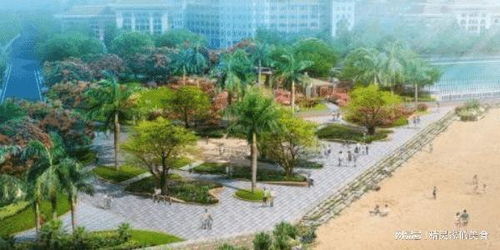 翔安大橋通車、新建公園，廈門迎來發(fā)展新機(jī)遇，身價(jià)或?qū)⑸蠞q