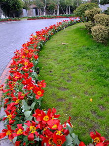 陰雨廈門園博苑 觀燈展的另一番詩(shī)意